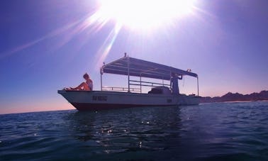 Viagem de mergulho de barco - 5 mergulhos em Ajman, Emirados Árabes Unidos