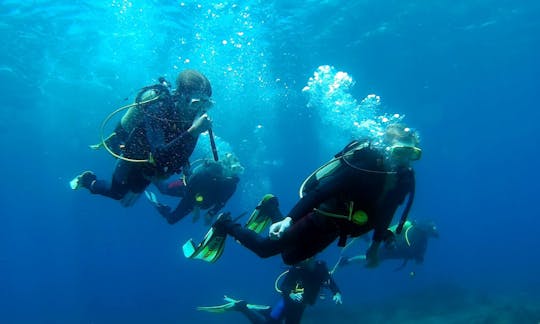 Dive Boat Charter for 12 Divers in Paphos, Cyprus