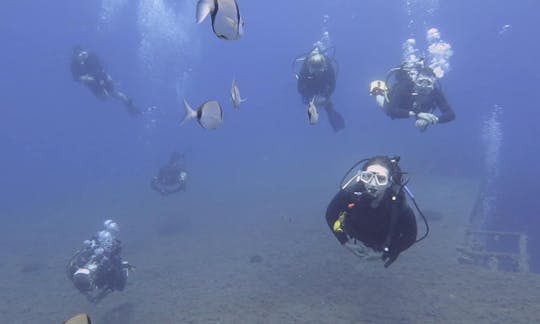 Dive Boat Charter for 12 Divers in Paphos, Cyprus