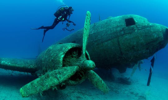 Book The Scuba Diving Adveuture With Us in Aydın, Turkey