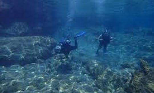 Book The Scuba Diving Adveuture With Us in Aydın, Turkey