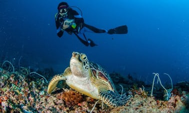 Reserve a aventura de mergulho conosco em Aydın, Turquia