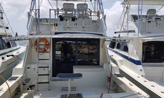 Charter the 42ft Hattras Motor Yacht in Oranjestad, Aruba