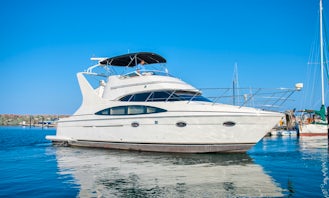 Multi Level 47' Carver Yacht for 12 Guests in Chicago, IL - Best Value! (MPY#3)