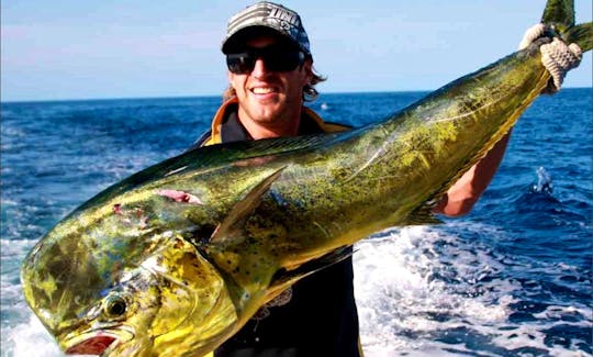 Head out fishing with a Licensed Captain in Provincia de Puntarenas