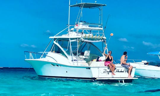 Private Charter to Stingray City, coral reef snorkeling, Starfish Point Beach