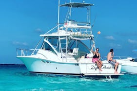 33ft Express. Private Charter, Stingray City, Coral Reef Snorkeling, Starfish.