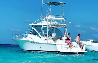 33ft Express. Private Charter, Stingray City, Coral Reef Snorkeling, Starfish.