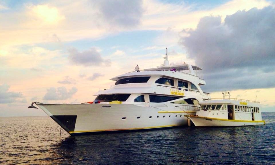 Liveaboard Diving Trip On Mv Ari Queen Yacht In Male Liveaboard Diving Trip On Mv Ari Queen Yacht In Male