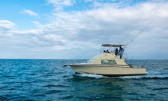 Fishing Charter for 12 People in Cayman Islands
