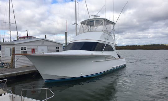 Sport Fishing Charter in Destin, Florida with Captain Matt