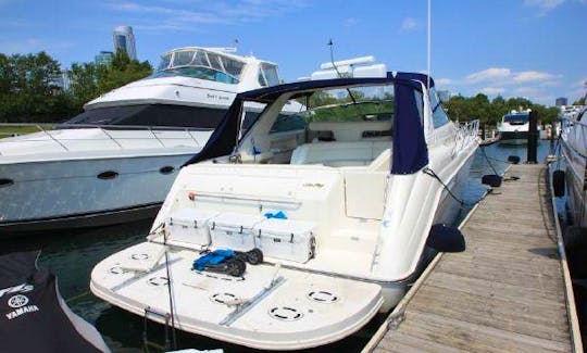 50' Sea Ray Sundancer 500 Yacht for 10 Guests in Chicago, IL - Best Value! (MPY#2)