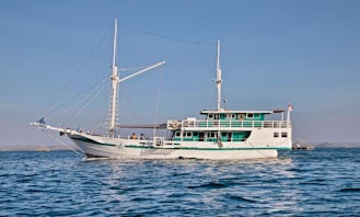 3 Days / 2 Nights Komodo Cruise From Labuan Bajo Aboard Traditional Phinisi Schooner (Liveaboard 1-5 Person)