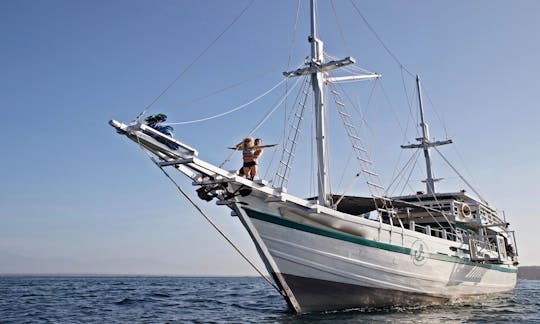 Flores Komodo Liveaboard Journey on 95' Phinisi Schooner