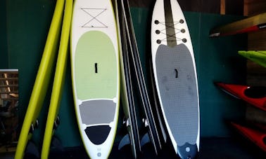 Stand Paddleboard Rental in Kuopio, Finland