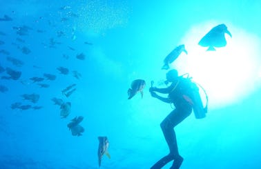 Scuba Diving Trip in Fuvahmulah, Maldives