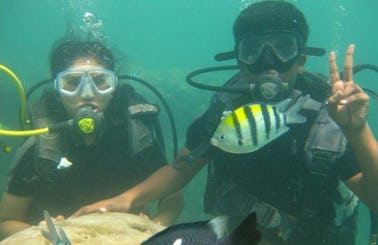 Scuba Diving in Nusa Dua