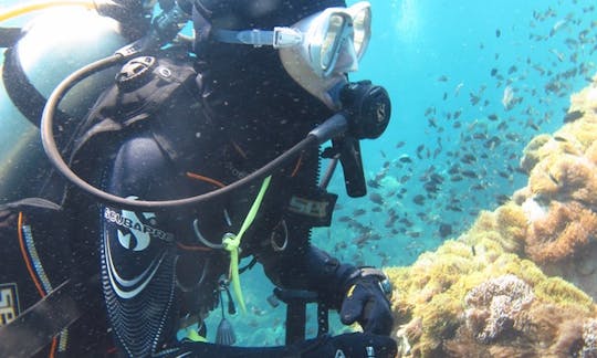 Open Water Course Diving Course In Una-Una, Indonesia