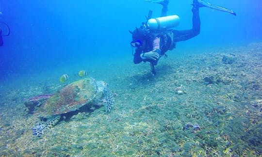 Open Water Course Diving Course In Una-Una, Indonesia