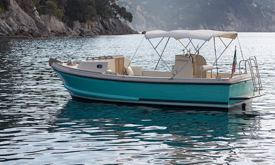 8-People Nelson 24' Margherita Center Console for Rent in Portofino, Italy