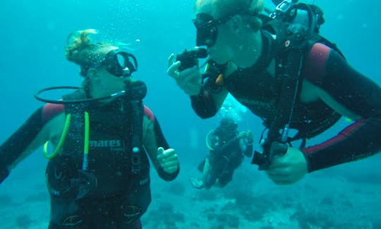 Book a Regular Dive Trip or SSI Dive Courses with Trustworthy Dive Team in Nusa Penida, Indonesia!
