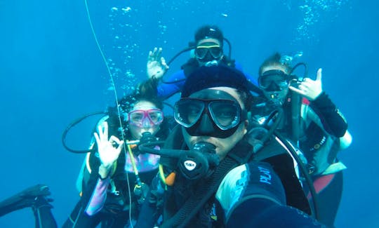 Book a Regular Dive Trip or SSI Dive Courses with Trustworthy Dive Team in Nusa Penida, Indonesia!