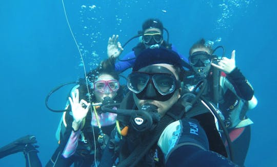 Book a Regular Dive Trip or SSI Dive Courses with Trustworthy Dive Team in Nusa Penida, Indonesia!