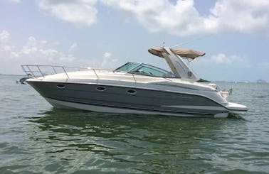 Crewed Charter on Monterrey 37ft  Motor Yacht in Cancún, Quintana Roo