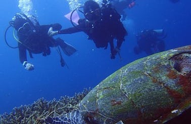 Discover Scuba Diving in Nusa Penida