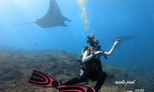 インドネシアのヌサペニダでのスキューバダイビング旅行にご参加ください。