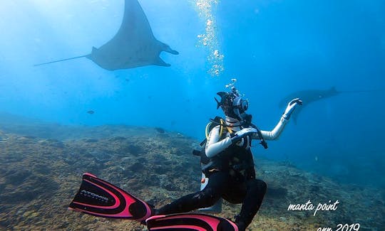 Join Us On A Scuba Diving Trip In Nusa Penida, Indonesia.