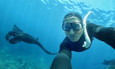 Junte-se a nós em uma viagem de mergulho em Nusa Penida, Indonésia.