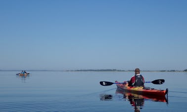 Passeio de caiaque até o delta do rio Nemunas saindo de Klaipeda