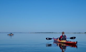 Kayak tour to Nemunas river delta from Klaipeda