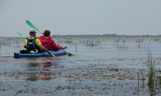 Kayak tour to Nemunas river delta from Klaipeda