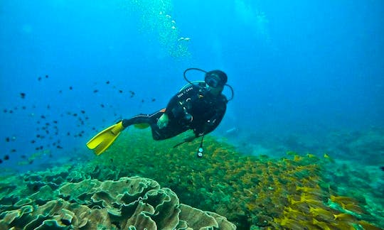 Be Ready For The Great Diving Experience in El Nido, Philippines