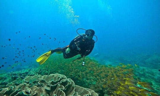 Be Ready For The Great Diving Experience in El Nido, Philippines