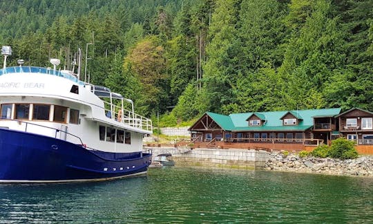 The Pacific Bear at our Homfray Lodge, Desolation Sound, BC