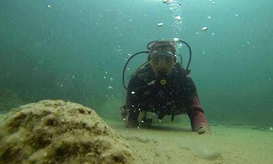 Join Us For Unforgettable Diving in Tata, Hungary!