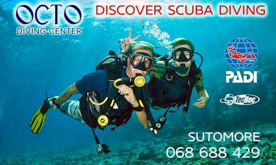 April -May 
SCUBA DIVER COURSE
180 euro  
with 
accommodation