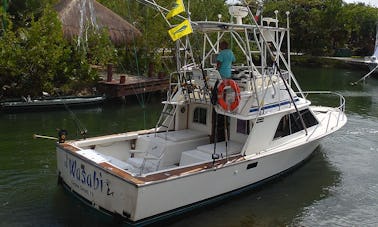 32' Blackfin - Marina de Puerto Aventuras - Playa del Carmen