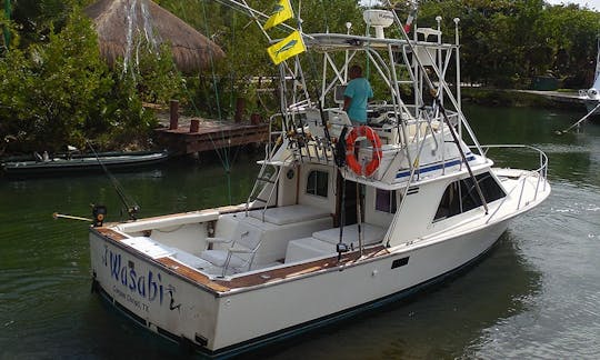 32' Blackfin - Puerto Aventuras Marina - Playa del Carmen