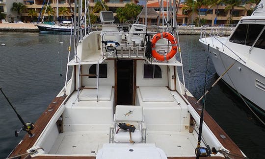 32' Blackfin - Puerto Aventuras Marina - Playa del Carmen