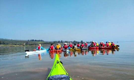 Enjoy A Unique Kayaking Tour In The Sea Of Galilee