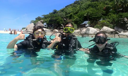 One day try diving tour for beginners.