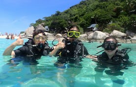 One Day Diving Tour in Samui For Beginners!