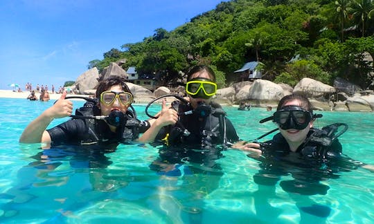 One day try diving tour for beginners.