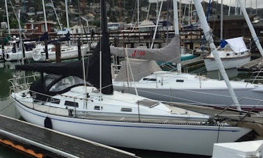 1977 Peterson 34ft Classic Sailboat for Charter in Sausalito