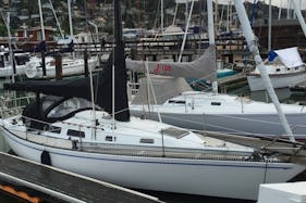 1977 Peterson 34ft Classic Sailboat for Charter in Sausalito