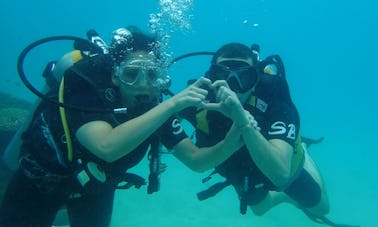Diving in Samui for certified divers
